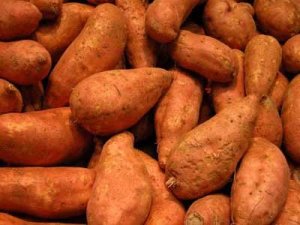 sweet-potatoes-2